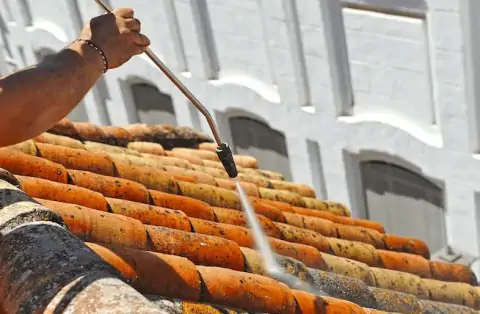 Nettoyage de toitures - Magnat l'Etrange